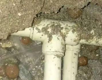 徽州测漏水多少钱