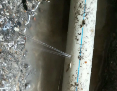 徽州测漏水哪家好