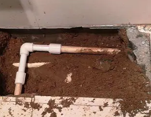 徽州测漏水哪家好