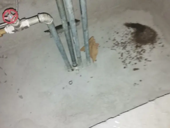 徽州卫生间测漏水价格明细