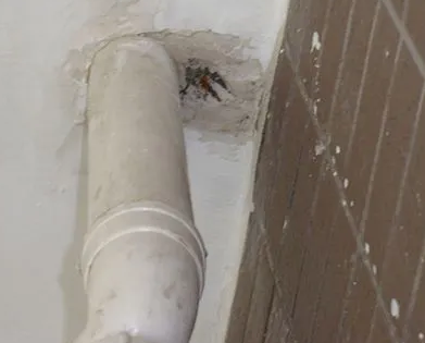 徽州漏水检测哪家好